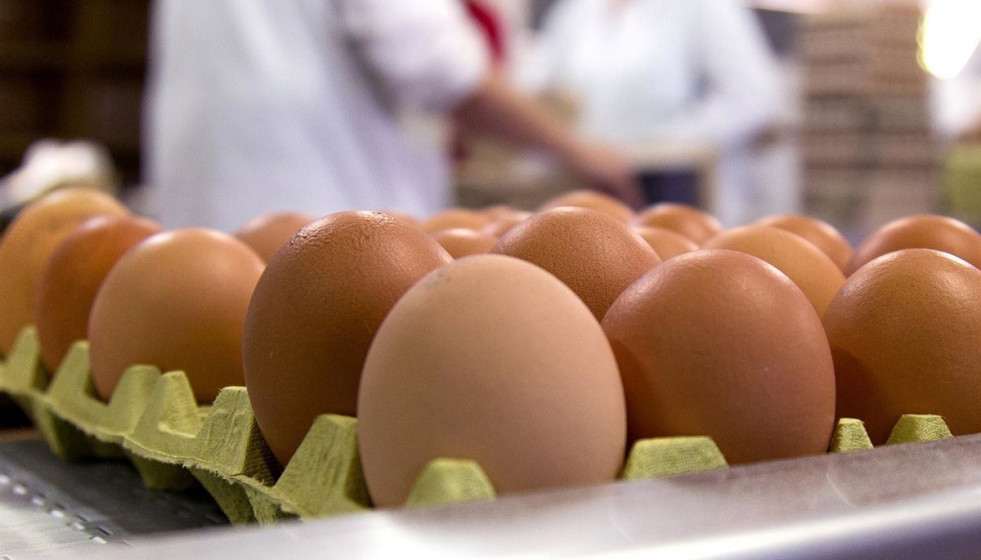 Huevos precio
