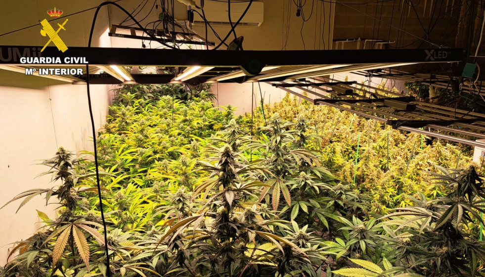 WhatsApp Image 2025 11 11 at 9.03.16 AM (1)