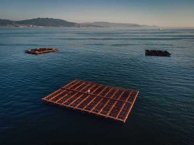 Archivo - Varias bateas para pescar mejillones, a 2 de septiembre, en Pontevedra, Galicia (España). La alta temperatura del agua, sin viento norte y el continuo desove del mejillón alarman a los 'bateeiros'. El sector explica que la concha tiene 