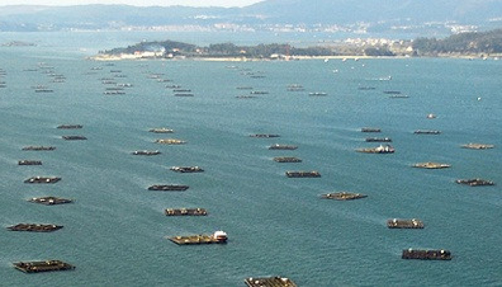 Archivo - Bateas de cultivo de mejillón en las rías gallegas