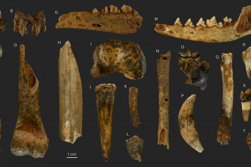Yacimiento de Valdavara 1, en Becerreá