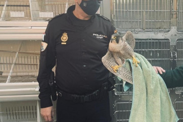 Archivo - Agente de la Policía Autonómica