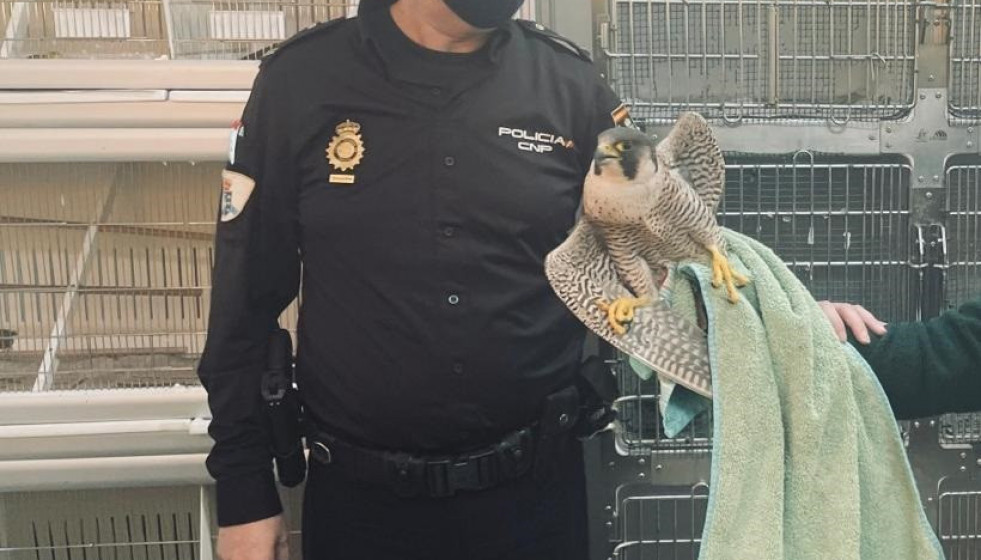 Archivo - Agente de la Policía Autonómica