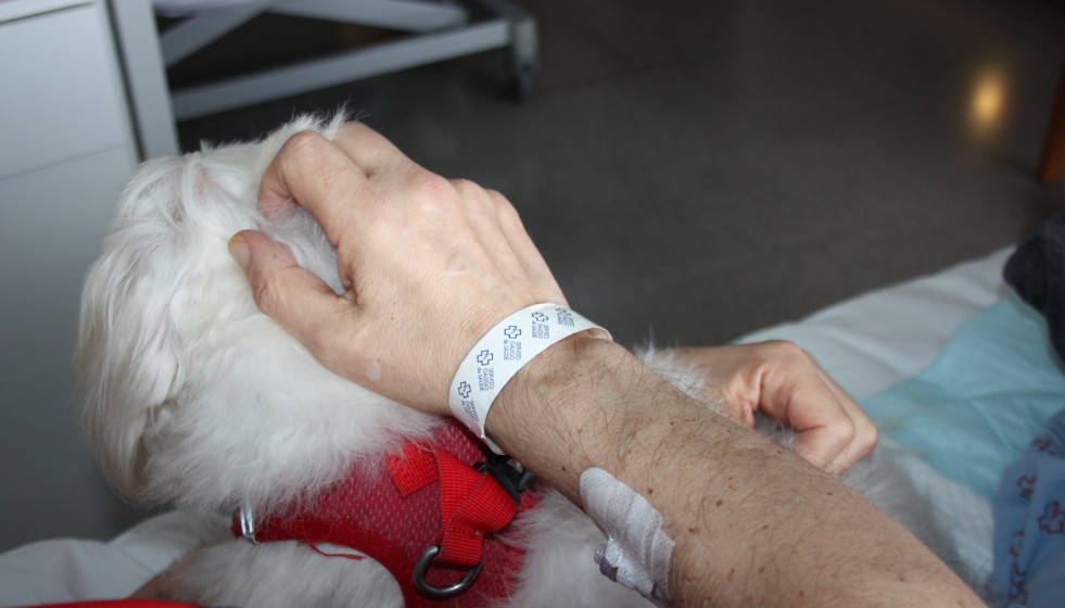 Paciente de la Unidad de Cuidados Paliativos del Hospital Marítimo de Oza, en A Coruña, junto a su mascota.
