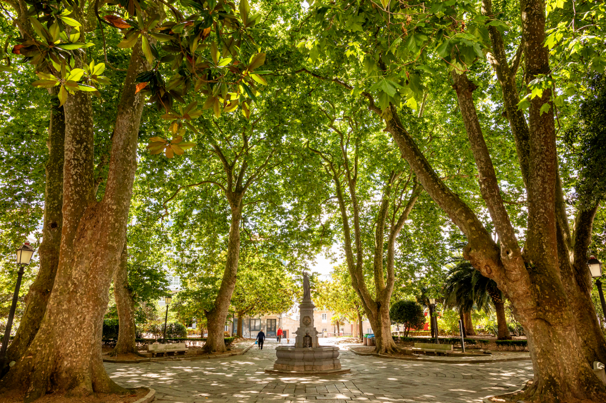 P Entidad 1453795138767 1099934327828 1920 1280 U 6b9fe4713c4287702e79945115dbcc87