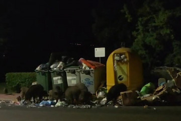 Fotonoticia 20241110121451 1200