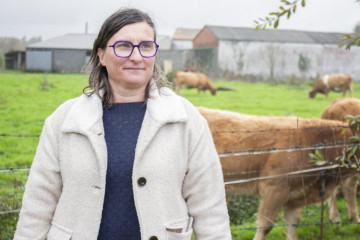 Mariaferreiro gandeira 9198cc5