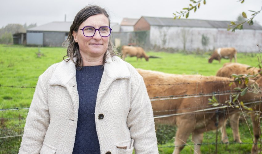 Mariaferreiro gandeira 9198cc5