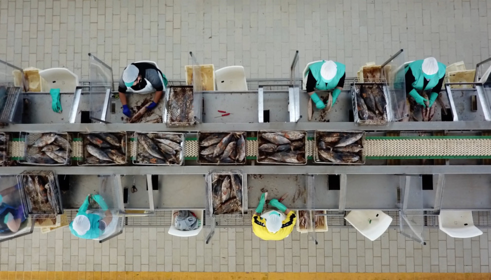 Archivo - Trabajadoras en una fábrica conservera