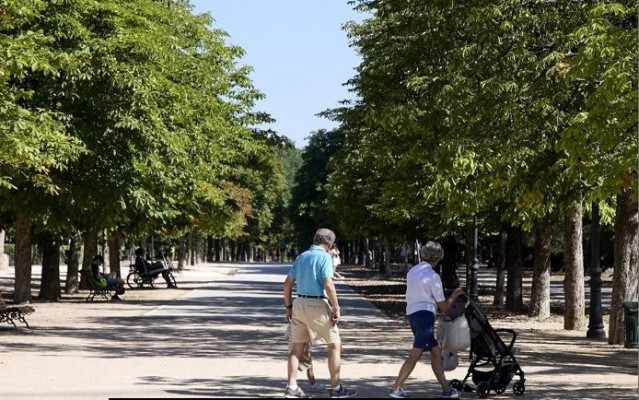 Archivo - Abuelos  paseando a su nieto.