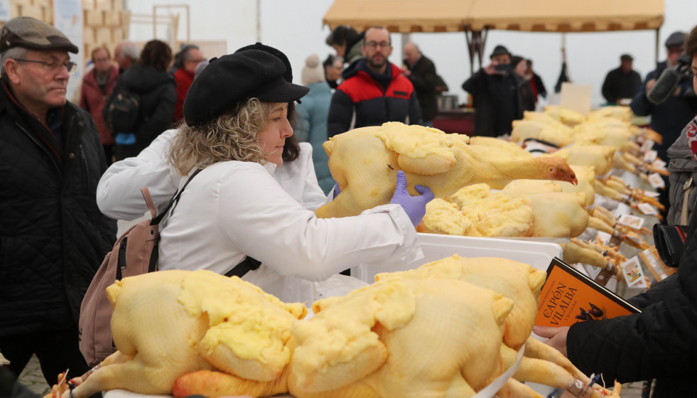 Cientos de ejemplares de capón en la Feria del Capón de Vilalba (Lugo)