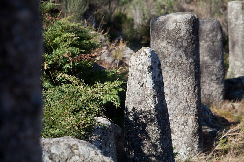 Miliarios en Portela do home en una foto de u00c1lvaro Pu00e9rez Attribution ShareAlike 2.0 Generic