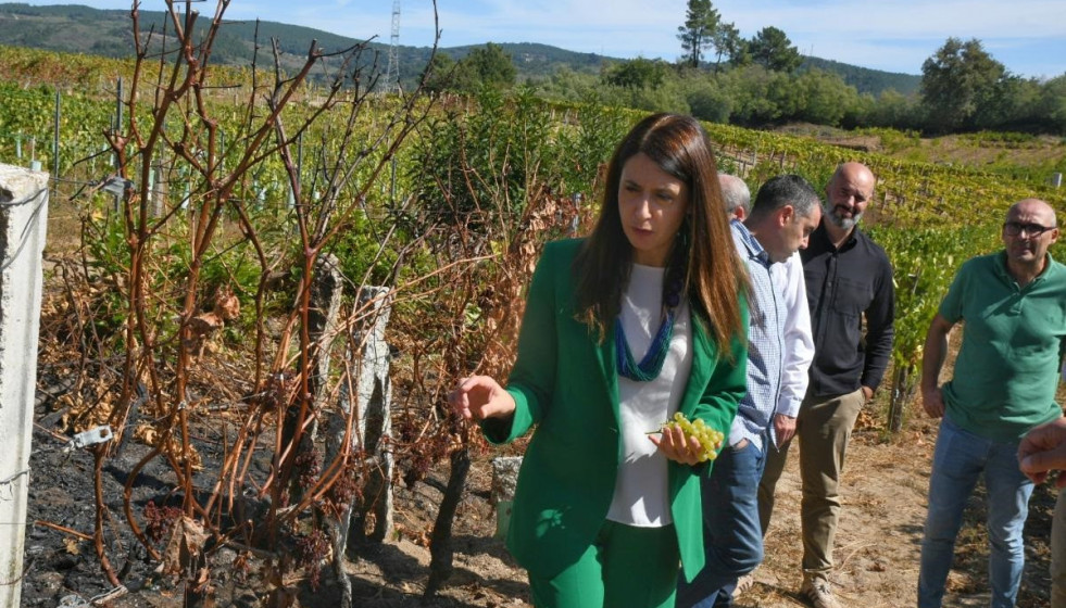 La conselleira do Medio Rural, María José Gómez, visita el ayuntamiento ourensano de Beade para revisar algunas de las zonas de viñedo afectadas por los incendios