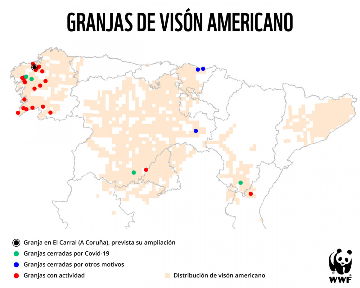Granjas de visu00f3n americano en Espau00f1a en 2021 en una imagen de WWF