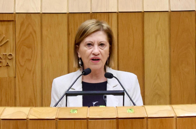 La diputada del PSdeG Elena Espinosa.