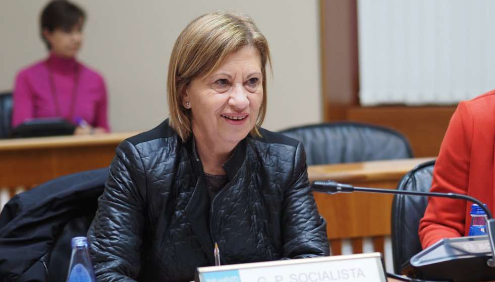 La diputada socialista Elena Espinosa en el Parlamento de Galicia.