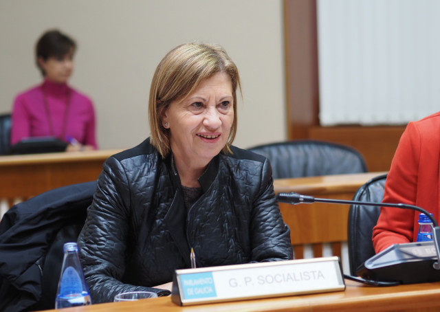 La diputada socialista Elena Espinosa en el Parlamento de Galicia.
