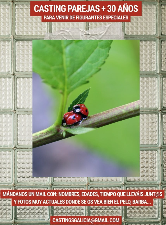 Anuncio de casting 