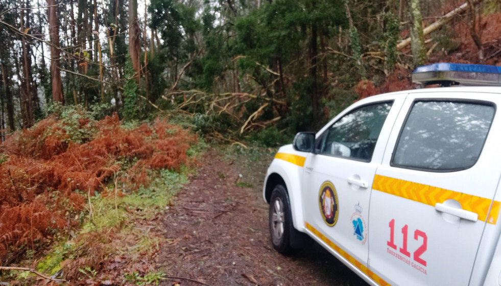 Un arbol caído por el temporal Joseph en Vilaboa