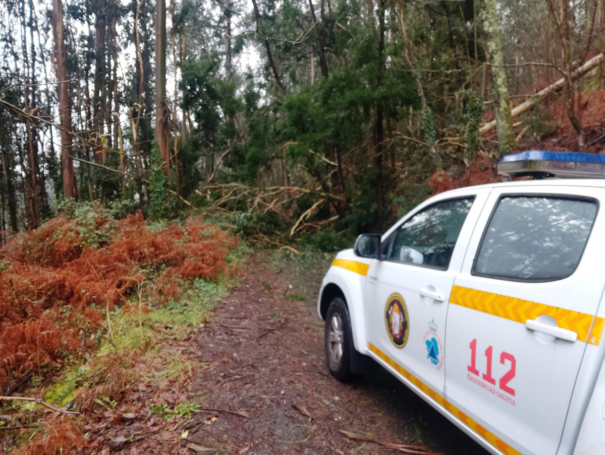 Un arbol cau00eddo por el temporal Joseph en Vilaboa