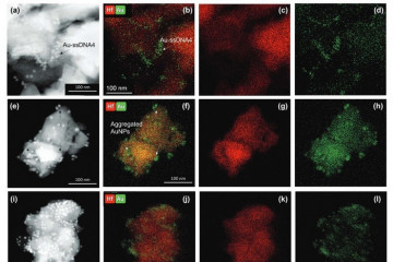 Archivo - Test rápido viruela del mono