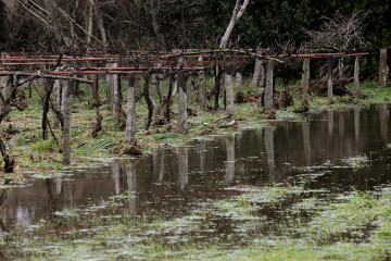 La localidad de Gondomar (Pontevedra) durante una borrasca que afectó a Galicia, a 27 de enero de 2026