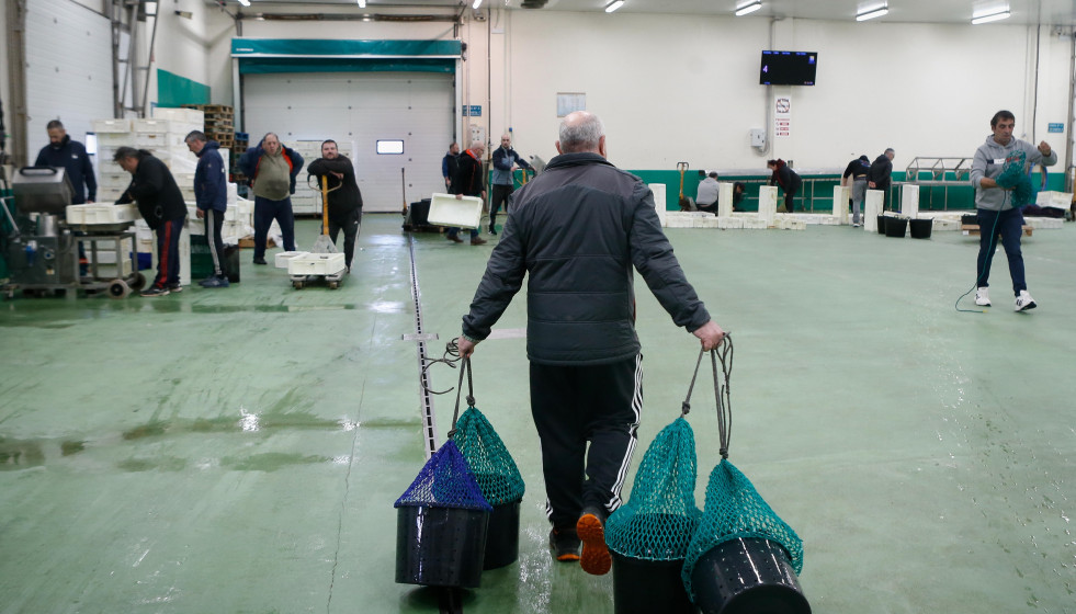 Archivo - Varias personas durante la última subasta antes de la Nochebuena, en la lonja de marisco, a 19 de diciembre de 2024, en Burela, Lugo, Galicia (España). Las subastas de marisco arrancaron e