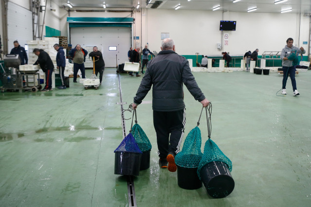 Archivo - Varias personas durante la última subasta antes de la Nochebuena, en la lonja de marisco, a 19 de diciembre de 2024, en Burela, Lugo, Galicia (España). Las subastas de marisco arrancaron este martes 17 de diciembre en la lonja de Burela, donde h