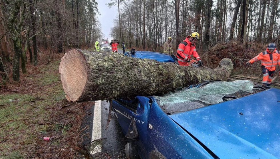 Pino sobre el Dacia Sandero en San Clemente en una imagen del Concello de Cuntis