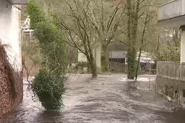 Regato Maquiáns en Ribadavia el miércoles en una imagen de CRTVG