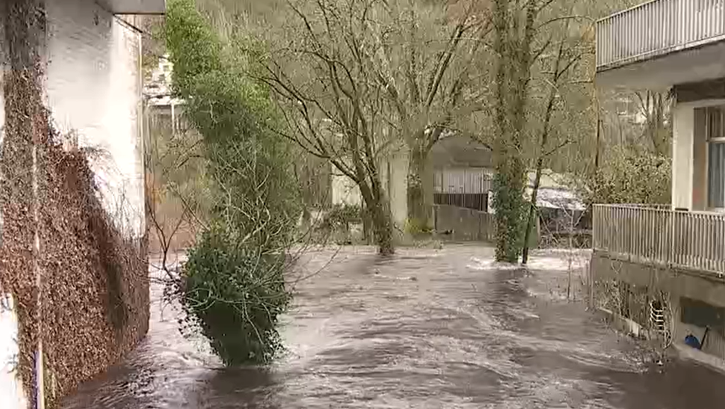 Regato Maquiu00e1ns en Ribadavia el miu00e9rcoles en una imagen de CRTVG