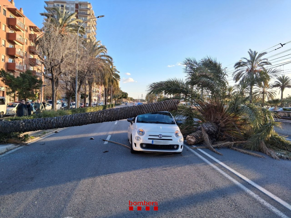 Una palmera sobre un coche derribado en Mataru00f3 en un afoto de los Bombers