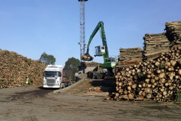 Ence madera