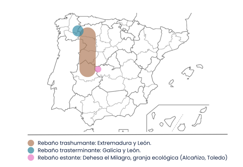 Mapa de las u00e1reas de actuaciu00f3n de la Alianza por la Lana