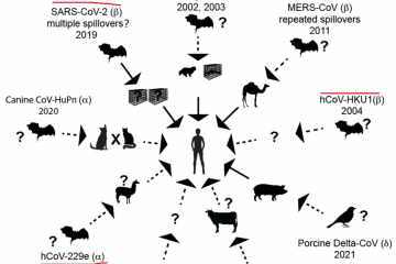 Posibles saltos entre especies de los nueve tipos de coronavirus conocidos de haber llegado al hombre en una ilustracióon de Micihael Worobey de la Universidad de Arizona