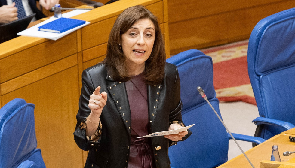 La conselleira de Medio Ambiente, Ángeles Vázquez, en el pleno