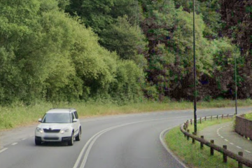 Paseo do Rato en Lugo