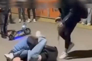 WhatsApp Image 2026 03 13 at 13.19.25