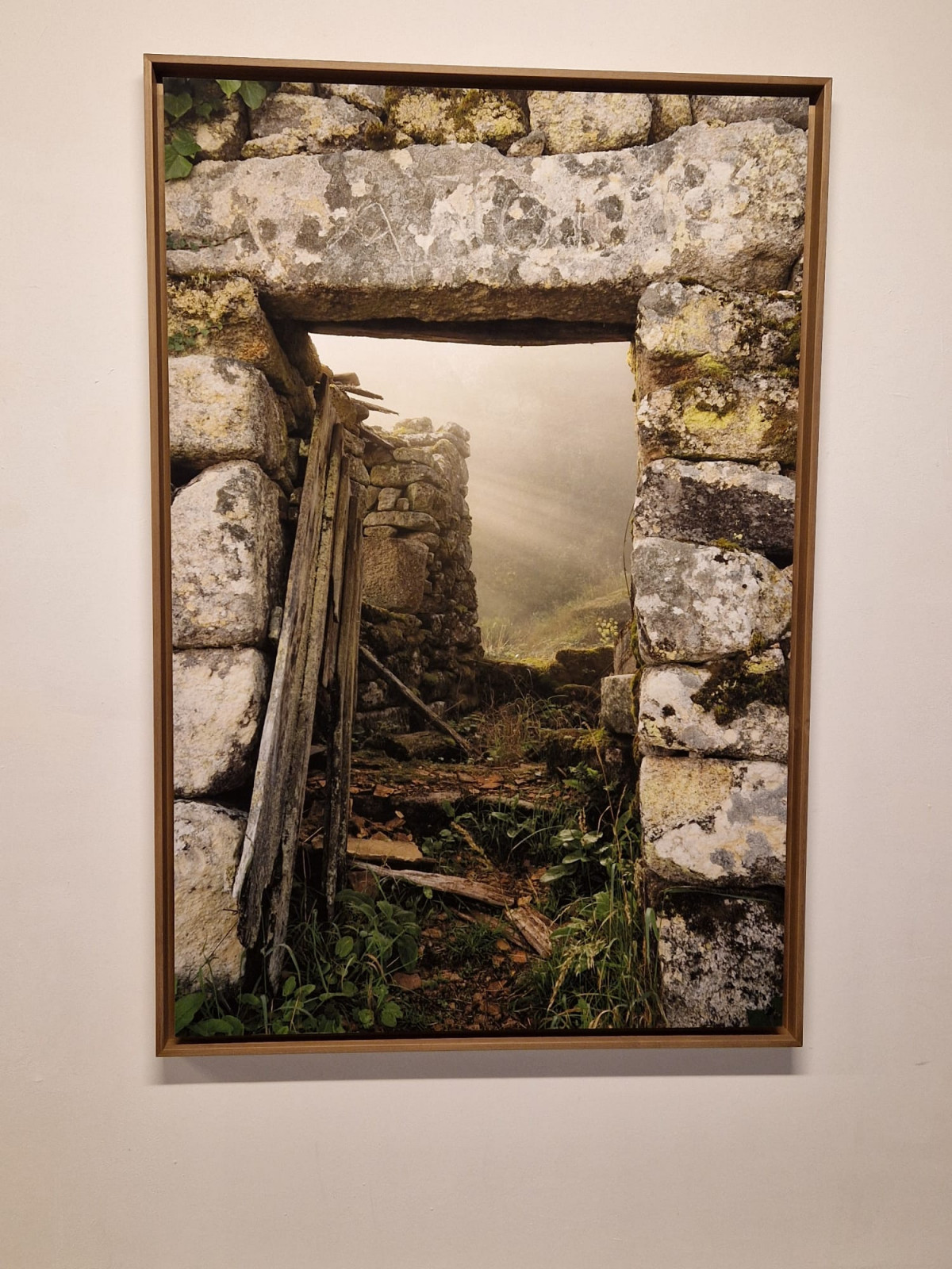 Obra de Saleta Rosu00f3n en Valid Foto