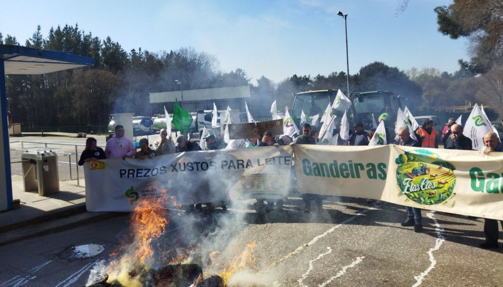 Photo 5911478736249359465 y