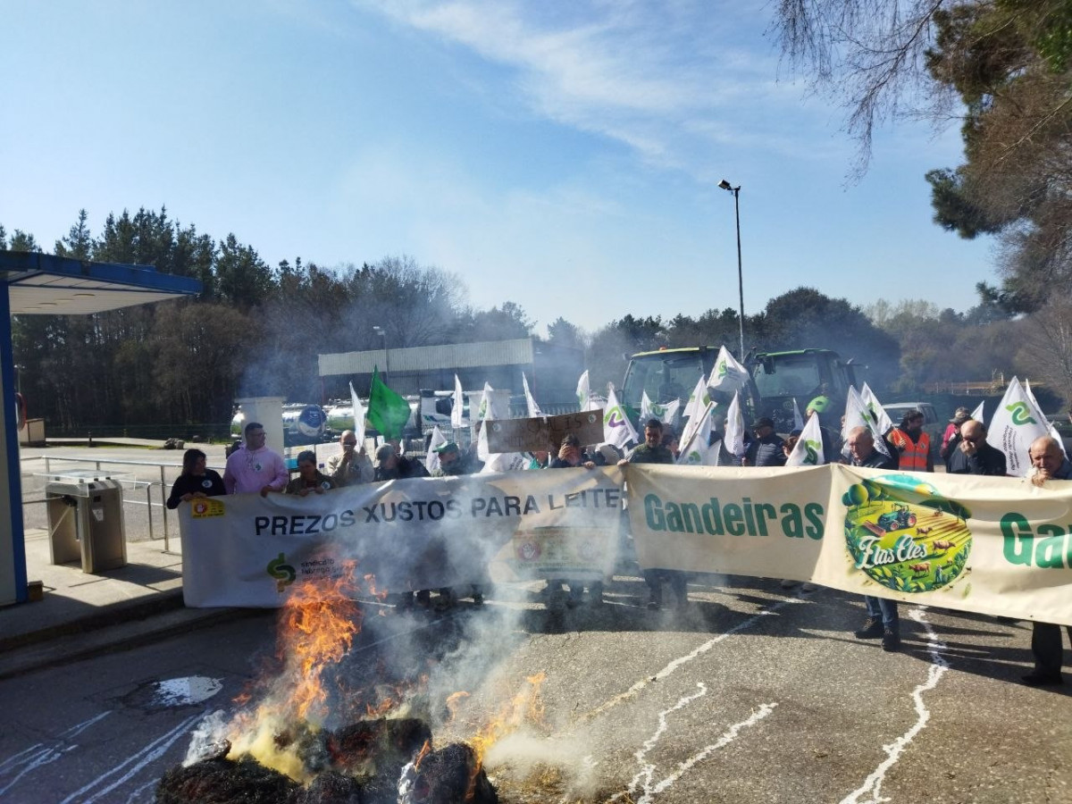 Photo 5911478736249359465 y