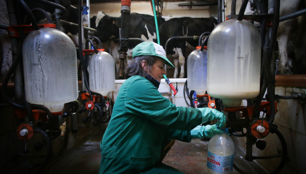 Archivo - Una mujer trabaja durante el ordeño en la ganadería Bértolos e Serranos, a 19 de febrero de 2023, en Macedo, Friol, Lugo, Galicia (España). La ganadería Bértolos e Serranos produce lec