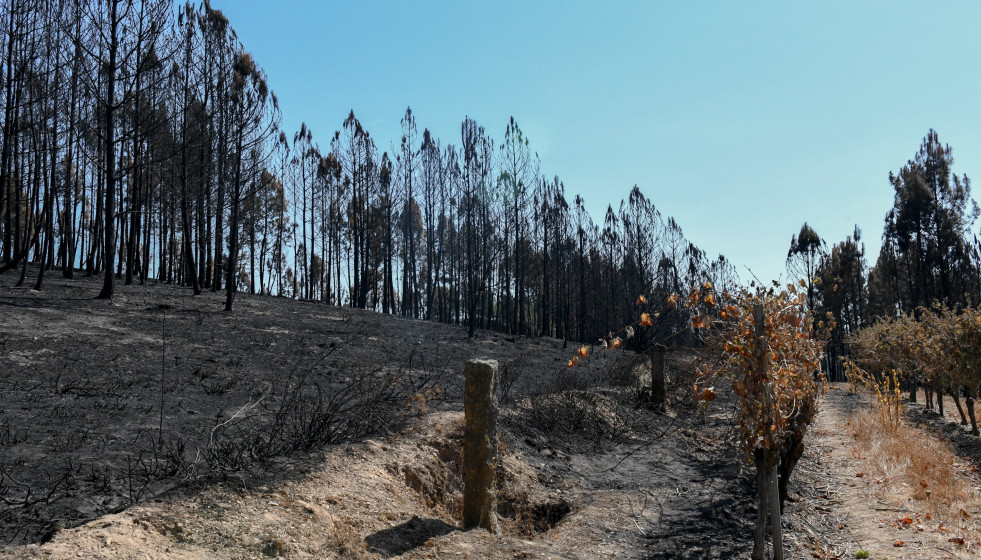 250822 Rcursos ViñdosQuemdos 2