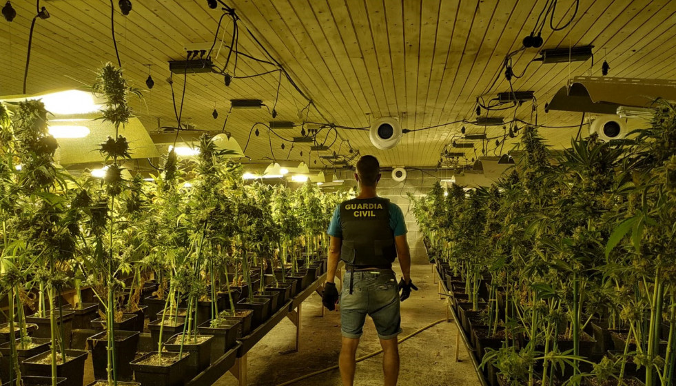 Droga incautada en Aranga.