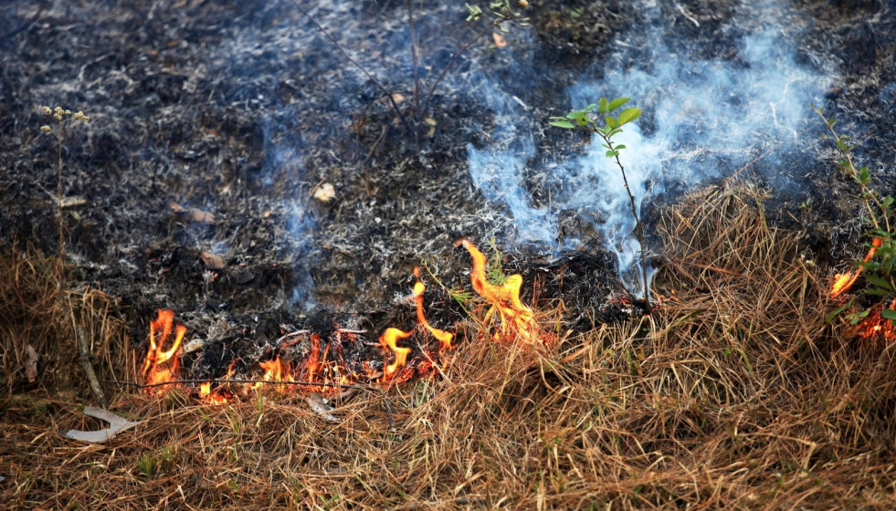 Archivo - Quema forestal