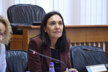 La diputada socialista Carmen Rodríguez Dacosta