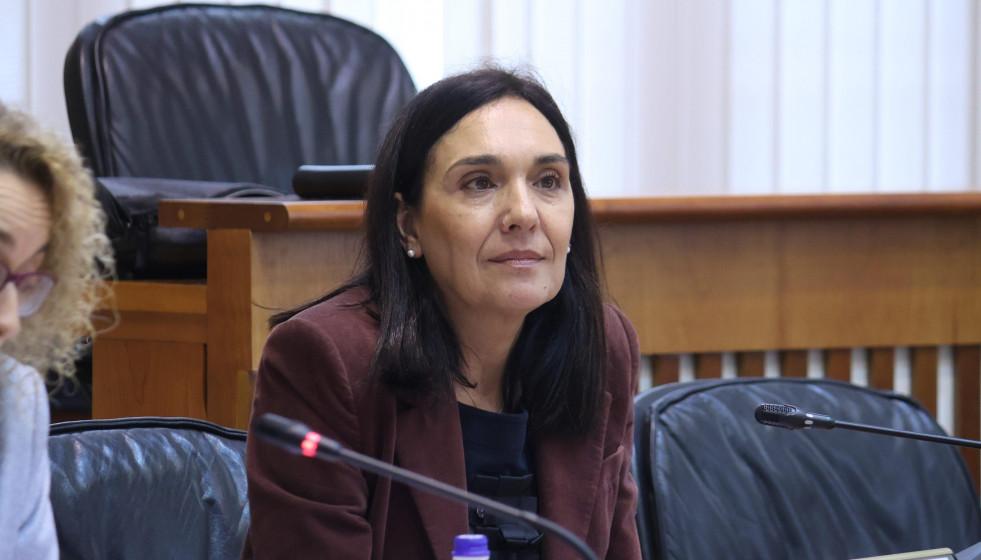 La diputada socialista Carmen Rodríguez Dacosta