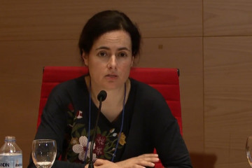 Carmen Villar Freire en una imagen de UVigo TV durante el 3º Congreso Galego de adopción e acollemento en 2019