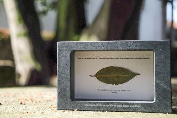 A29734220ad7a03e945fa5b92074babc