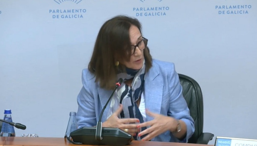 La directora xeral de Calidade Ambiental e Sostibilidade, María José Echevarría, en comisión